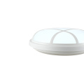 25W IP65 circular outdoor lamp